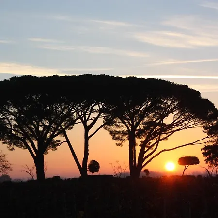 Chasse-spleen Les * Moulis-en-Medoc